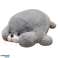 Plüsch kuscheliges Maskottchen große Kegelrobbe 29cm Bild 1