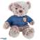 Plush cuddly mascot teddy bear gray blue sweater 21cm image 1
