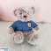 Plush cuddly mascot teddy bear gray blue sweater 21cm image 2