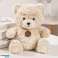 Kuscheliger Teddybär Plüsch Maskottchen mit Medaillon Beige 25cm Bild 2