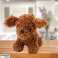 Plüsch Maskottchen Kuschelhund Zwergpudel braun 20cm Bild 1