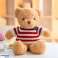 Plüsch Kuschelteddybär im gestreiften T-Shirt creme 32cm Bild 1