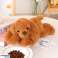 Plush Cocker Spaniel Dog with Weighted Paws Brown 30cm image 1