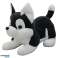 Plush cuddly mascot Husky dog black and white 30cm image 1