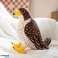 Mascotte peluche oiseau câlin faucon marron 30cm photo 2