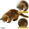 Cuddly Otter Plush Mascot Brown 37cm image 1