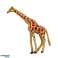 Mini Figurines Wild Animals Giraffe Zebra Lion Set 6 8cm 6pcs image 2
