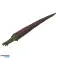 Set of Mini Figures of Prehistoric Creatures 6 9cm 6pcs image 4