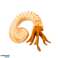 Set of Mini Figures of Prehistoric Creatures 6 9cm 6pcs image 5
