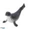 Mini Figurine Set Sea Animals Mammals Killer Whale Photo Dolphin 6 8cm 6pcs image 2