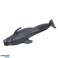 Mini Figurine Set Sea Animals Mammals Killer Whale Photo Dolphin 6 8cm 6pcs image 4