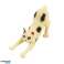 Mini Cat Breed Figurines Set Cats Feeding Bowl 4 6cm 7pcs image 5