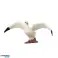 Mini Figurines Set Sea Animals Coastal Seagull Shark 6 8cm 6pcs image 1