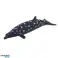 Mini Figurines Set Sea Animals Coastal Seagull Shark 6 8cm 6pcs image 5