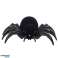 RC-Spinne Schwarze Witwe mit Raucheffekt und Geräuschen Bild 2