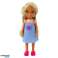 Ankiki Mini Doll Hond Set met Puppy Bag Bone foto 1