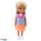 Mini Poppen Set Dierenarts Hond Kat Behandeling Accessoires foto 1