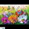 Puzzles 300 EasyPiece Insekten auf der Wiese Trefl 23103 Bild 1
