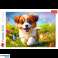 Puslespil 500 Glad Hund Trefl 37524 billede 2