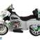 Baterijomis maitinamas motorinis triratis Goldwing Grey nuotrauka 2