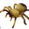 Mando a distancia Spider Tarantula Mando a distancia R/C Amarillo fotografía 1