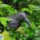 Bird Repellent Crow image 3