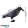Bird Repellent Crow image 5