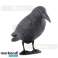 Bird Repellent Crow image 4