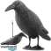Bird Repellent Crow image 1