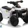 Аккумулятор Quad XH116 белый изображение 1