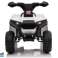 Аккумулятор Quad XH116 белый изображение 2