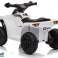 Аккумулятор Quad XH116 белый изображение 5