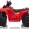 Аккумулятор Quad XH116 красный изображение 4