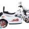 Battery Motor SX138 White image 3