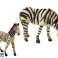 Beeldje Set Dieren Afrika Nijlpaard Zebra foto 3