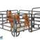 Ensemble de figurines Animaux Chevaux Ferme Poulain Poney Ferme photo 1