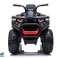 Quad Akku XMX607 Camo Lackiert Bild 4