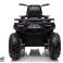 Quad Akku XMX607 Blau Spider Farbe Bild 4