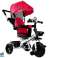 Driewieler PRO300 Rood foto 1