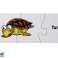 Puzzle educativo Ocean World Puzzle 10 collegamenti foto 2