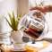 AD 1299 white Glass kettle 1.5 l with infuser and temperature control image 1