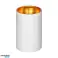 ELIZA. downlight-armatur. GU10. IP20. aluminium. hvit-gull bilde 3