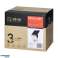 SOLIS LED 10W nuotrauka 2