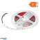Tira LED 12V. Chipset Samsung 2835. 120L/m. 1260lm/m. 12W/m. IP20. 3000K. 5m fotografía 1