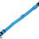 AG232A Collier LED 32-37cm bleu photo 2