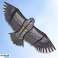 AG667C Drache XXL Adler 200 cm Bild 4