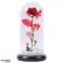 AG776D Ewige Rose im Glas LED Figuren Bild 1