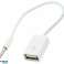 AK290 aux minijack-adapter3,5 mm usb bilde 1