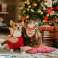 BQ89 Weihnachts-Papierbrillen Bild 3