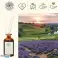 Rahatlatıcı - taze - EV KOKUSU ÇUBUKLARI TAZELEYICI 150ml - 60 GÜN fotoğraf 4